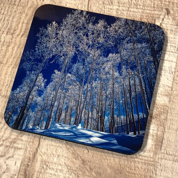 Blue Aspen Coaster Close-up Picture