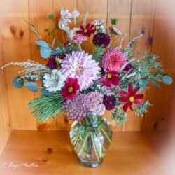 Large Dahlia Arrangement