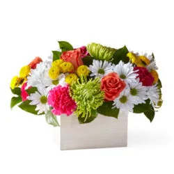 Online flower delivery, Red Feather Lakes Colorado. Cheerful arrangement of bright flowers surrounded by white daisies