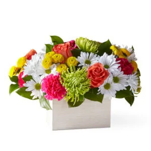 Online flower delivery, Red Feather Lakes Colorado 2 Online flower delivery, Red Feather Lakes Colorado. Cheerful arrangement of bright flowers surrounded by white daisies