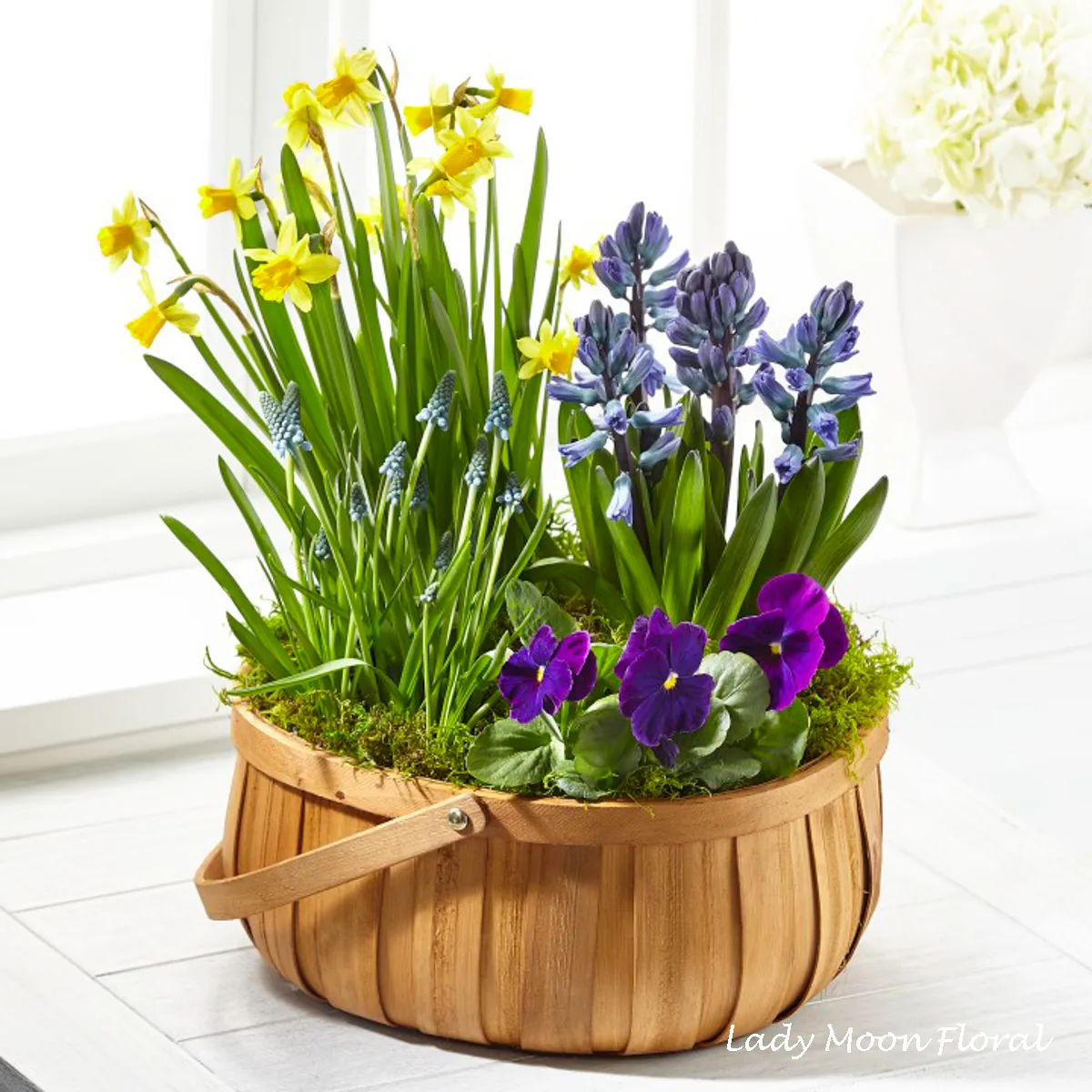 Spring flower basket with daffodils, hyacinths and pansies